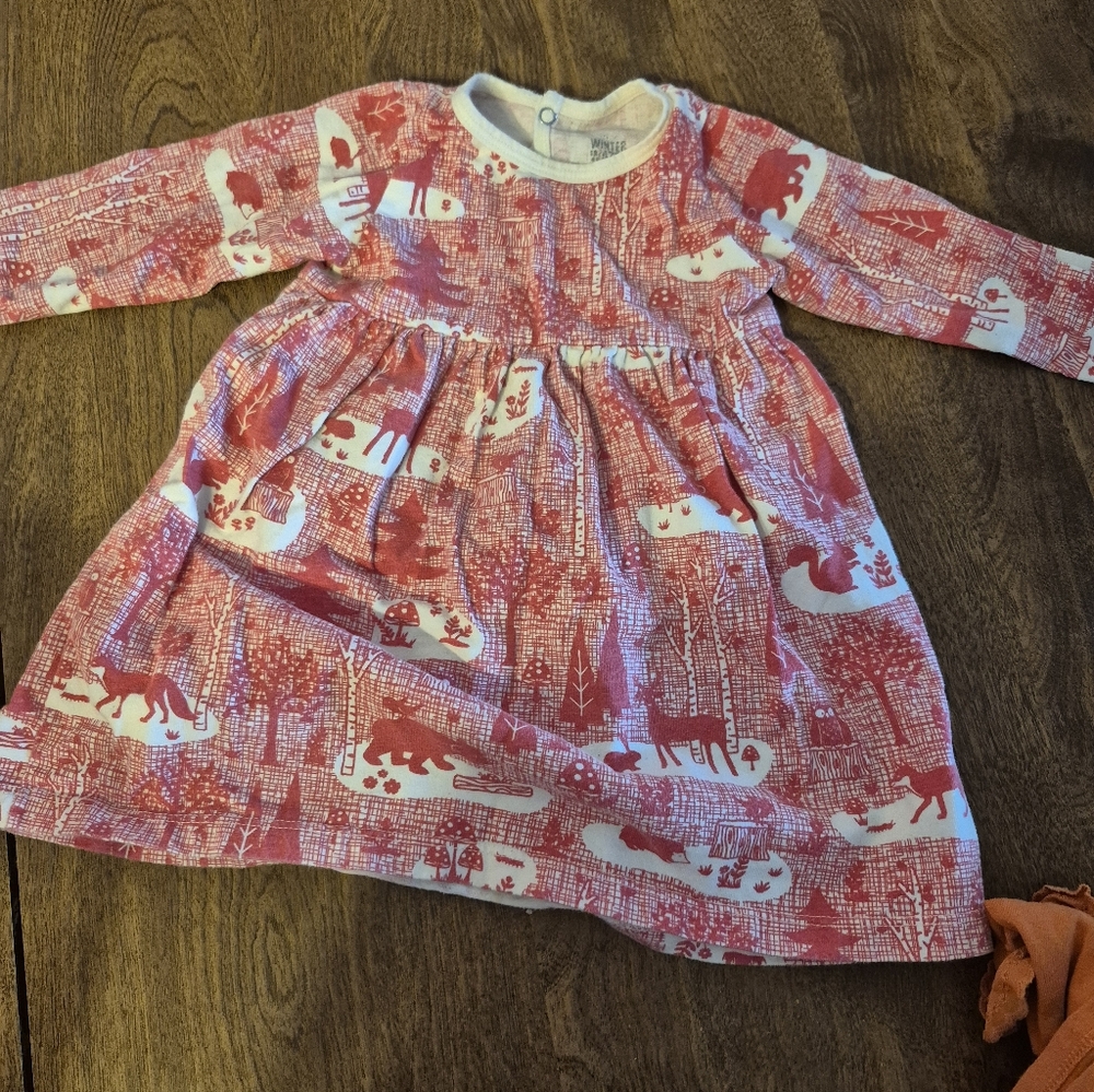 Red and White Winter Print